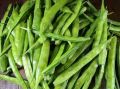 Fresh Cluster Beans (Kothavarai)