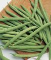 Fresh Green Beans (Pachai Avari)