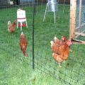 Poultry Farm Wire Net