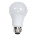 12 W LED Bulb