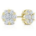 Natural Diamond Studded Cluster Stude Earring