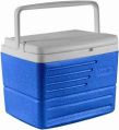 PLASTIC INSULATED ICE BOX8