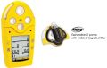 Portable Gas Detector