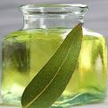 eucalyptus oil