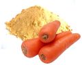 SPRAY DRIED CARROT POWDER