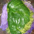 Betel Leaves(Pala Meetha Patta)