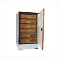 Insect Showcase Cabinet (Small)