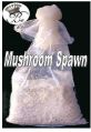 Button Mushroom Spawn