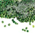 1 Kg Fresh Frozen Green Pea
