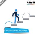 Individual Career Development - Silver