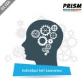Silver Individual Self Awareness