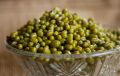 IPM-2-3 Green Mung Beans