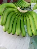 fresh cavendish banana