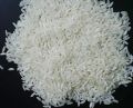 BPT Rice