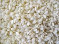 white sesame seeds