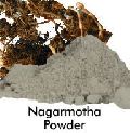 nagarmotha powder