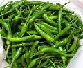 fresh green chilli