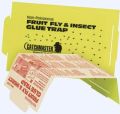 Fruit Fly Glue Board