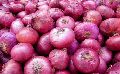 fresh red onion