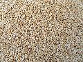 98/2% Natural Sesame Seeds