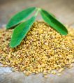 fenugreek seeds