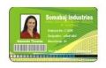 Printed Identity Cards