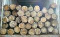Costa Rica Teak Wood Logs