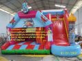 Inflatable Jumping Bouncers