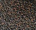 black pepper seeds