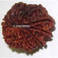 Rudraksha Beads