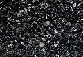 anthracite coal