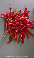 Guntur Teja Dried Red Chilli