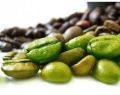 Green Coffee Bean Extract