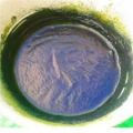 Pure Hair Dye - Indigofera Tinctoria Indigo Black Henna