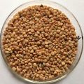 Guar Gum Seeds