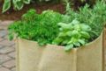 Eco-Friendly Garden Products