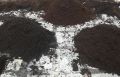 Decomposed Organic Coco Peat