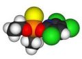 Chlorpyrifos Insecticide