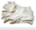 latex powder free gloves