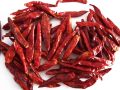 dry red chilli