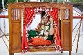 Palki Service for Marriage