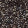 Indian Niger Seeds(nyjer Seeds)