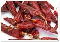 dry red chilly