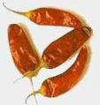 dry red chilies