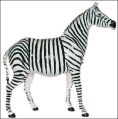 Leather Zebra