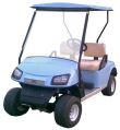 Two Seater Golf Cart