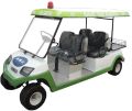 Golf Cart with Luggage Carrier