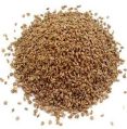 ajwain seeds