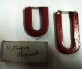 U-Shaped Magnet