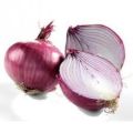 red onion